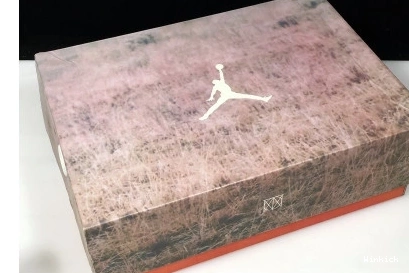 AV6683-200 3 JTH AIR JORDAN BEIGE BIO 0804